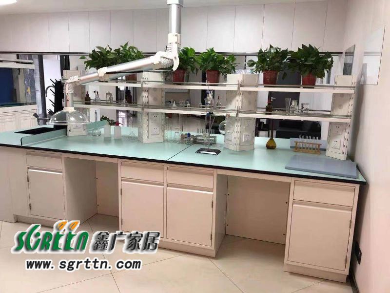 化驗室pp操作臺，實驗臺鋼木化學試驗桌，工作臺學校通風柜，全鋼試驗臺